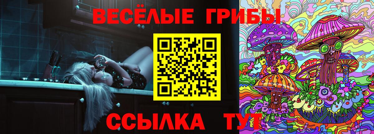 Псилоцибиновые грибы прущие грибы Вышний Волочёк