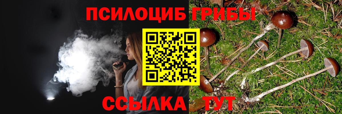 Галлюциногенные грибы Magic Shrooms  Вход с VPN  Вышний Волочёк 